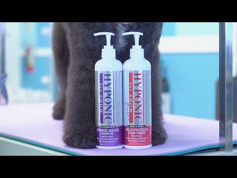 Après-shampoing volumisant 'Show' pour concours 0,5 L HYPONIC - Image 6