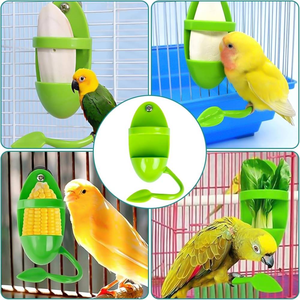 Lot Quatre Mangeoires En Os De Seiche Pour Oiseaux - Lytech - Image 2