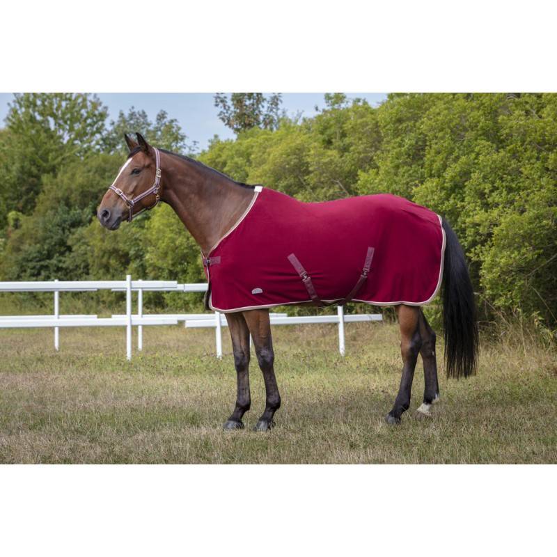 Licol polyfun bordeaux EQUITHEME pour pur-sang - Imagen 1