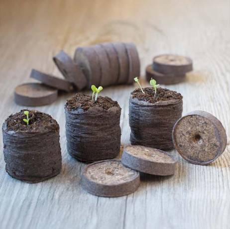 Nature - Pastilles de tourbe compressées - Imagen 2