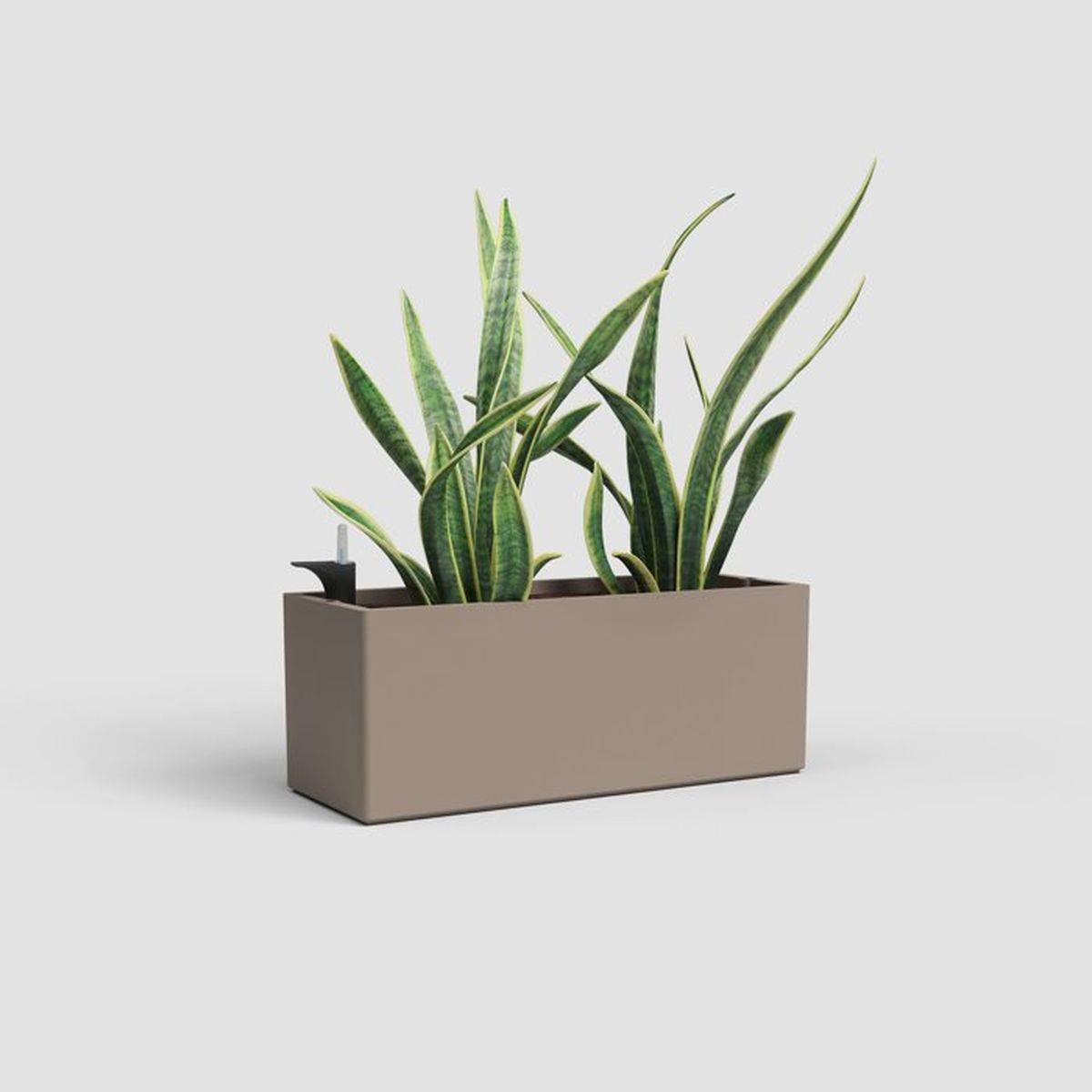 Artevasi - Jardinière rectangulaire à arrosage automatique Rimini 20 x 51 x 20 cm, 17 L, taupe mat - ARTEVASI - Image 2