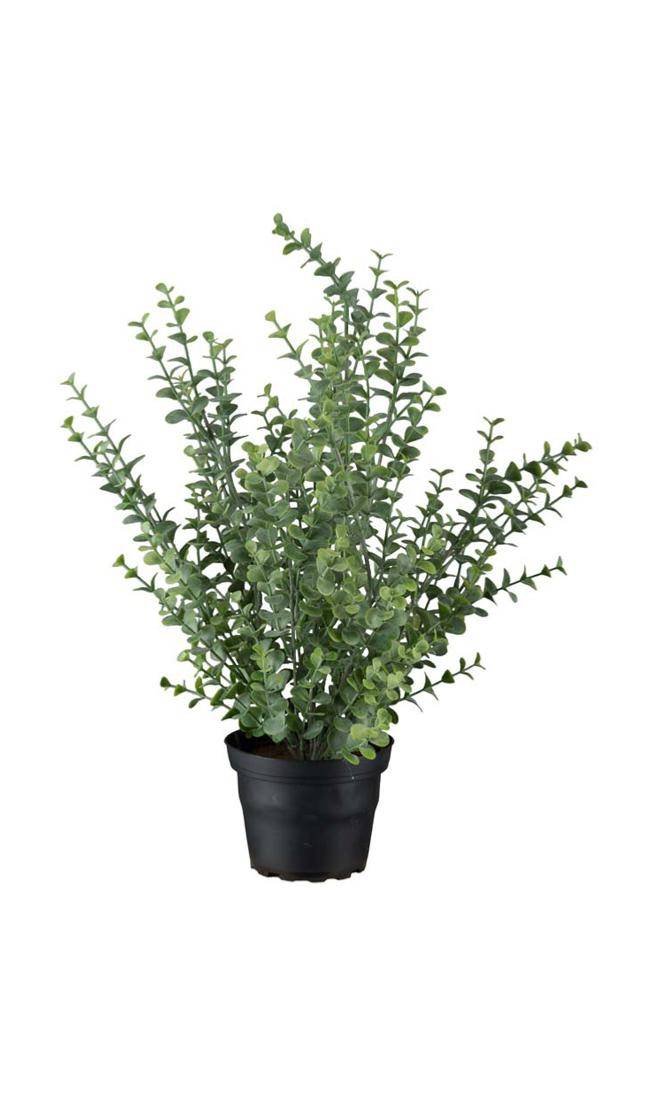 Artificielles - Eucalyptus artificiel en pot H 40 cm D 28 cm original et superbe - Imagen 1