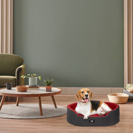 Ferplast - Ferplast Panier Chien Dandy, Coussin Amovible et Lavable, Housse en Coton avec Rembourrage Doux, Idéale également comme Niche pour Chat, 65 x 46 x H - Imagen 3