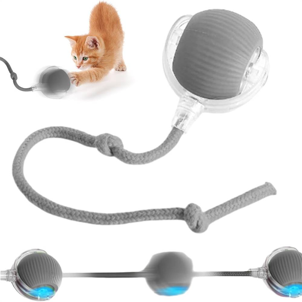 DtopbuyAge - Balle roulante interactive pour chiens(Gris) DtopbuyAge - Image 1