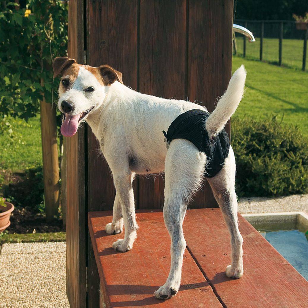 Ferplast - Serviette hygiénique culotte chiens chien Ferplast DOG PADS culotte trois formats - Imagen 3