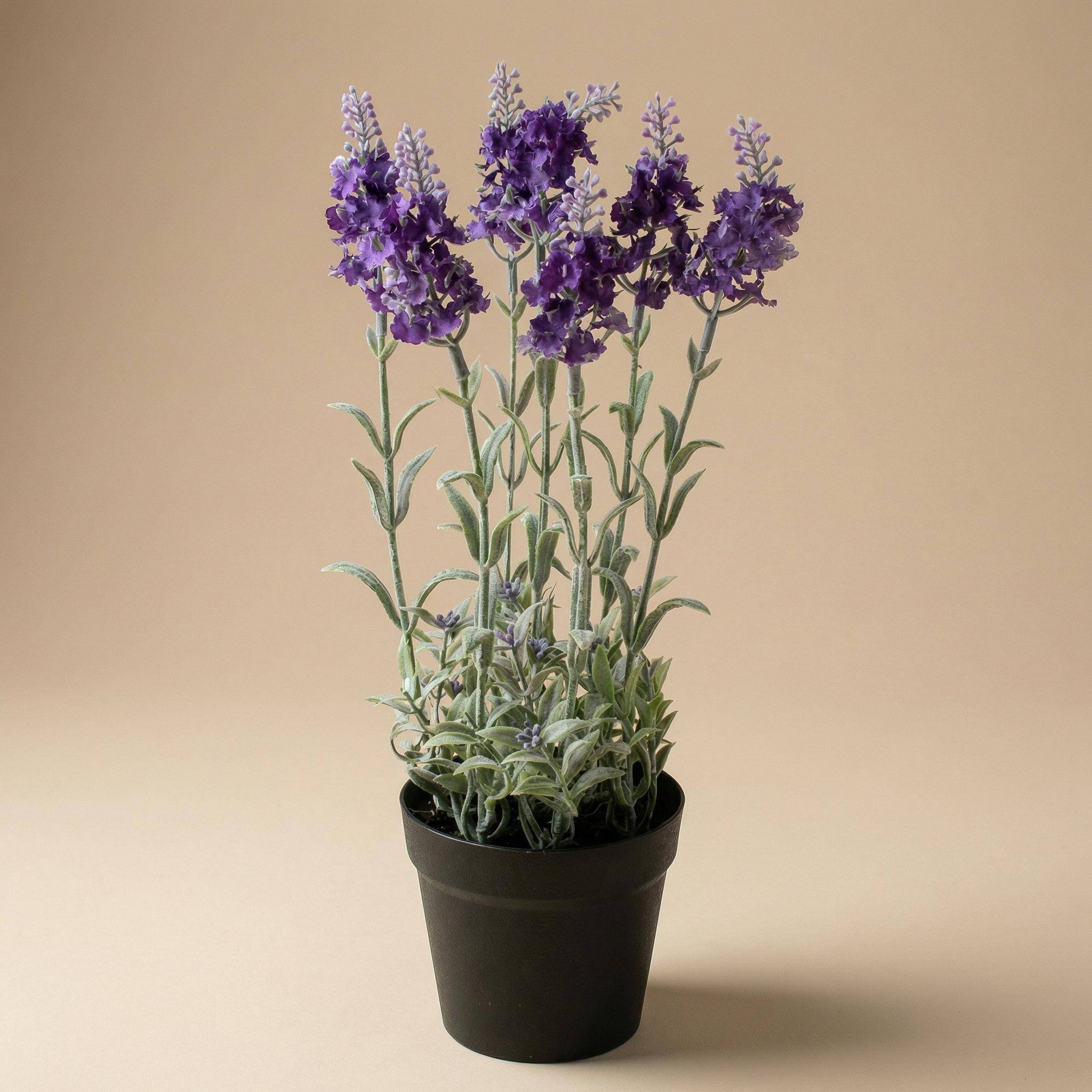 Lavande - violet plante - Ø8cm - Plante artificielle - Image 1