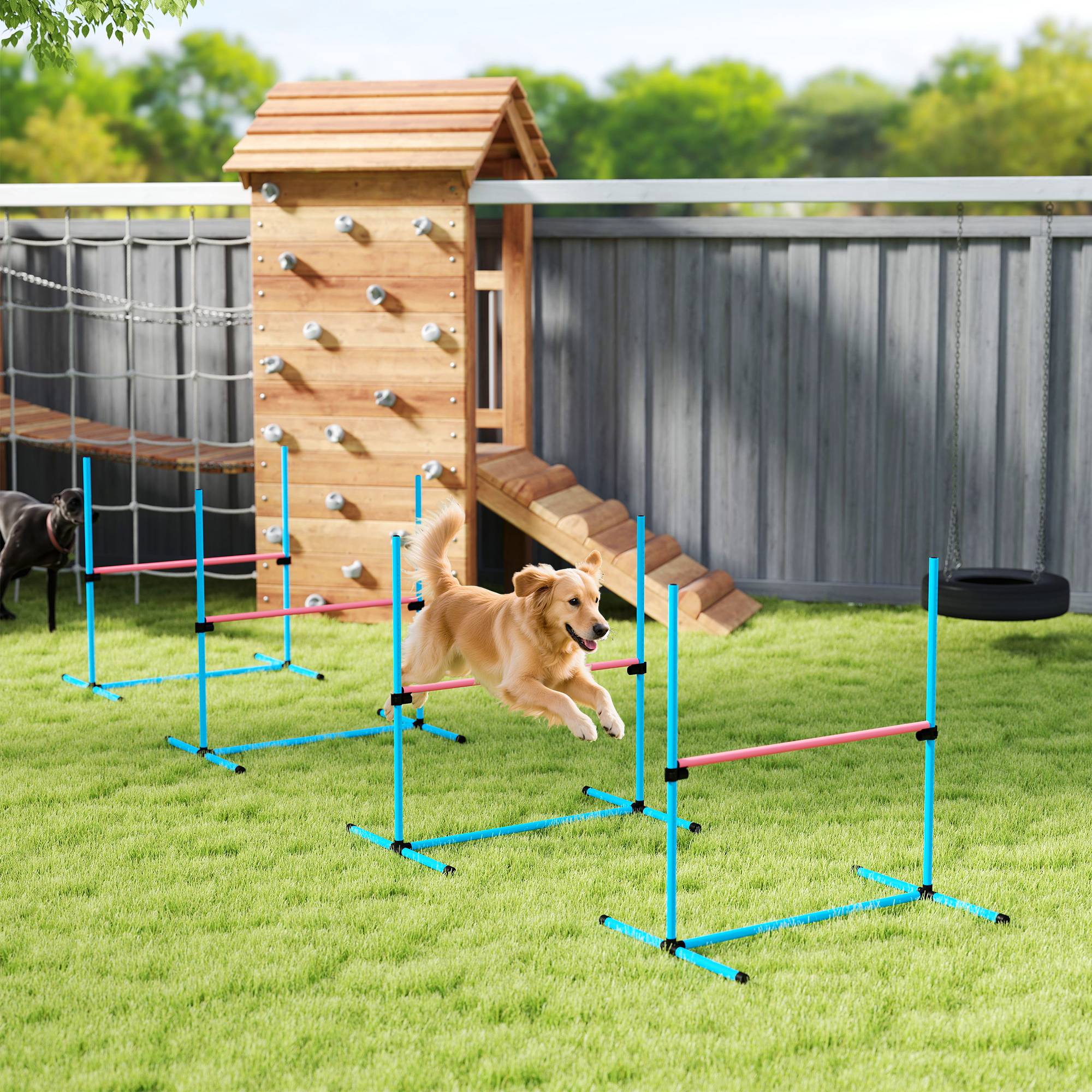 Kit d'agilité pour chien plastique bleu clair 99 x 65 x 94 cm - PANGIVO - Image 4