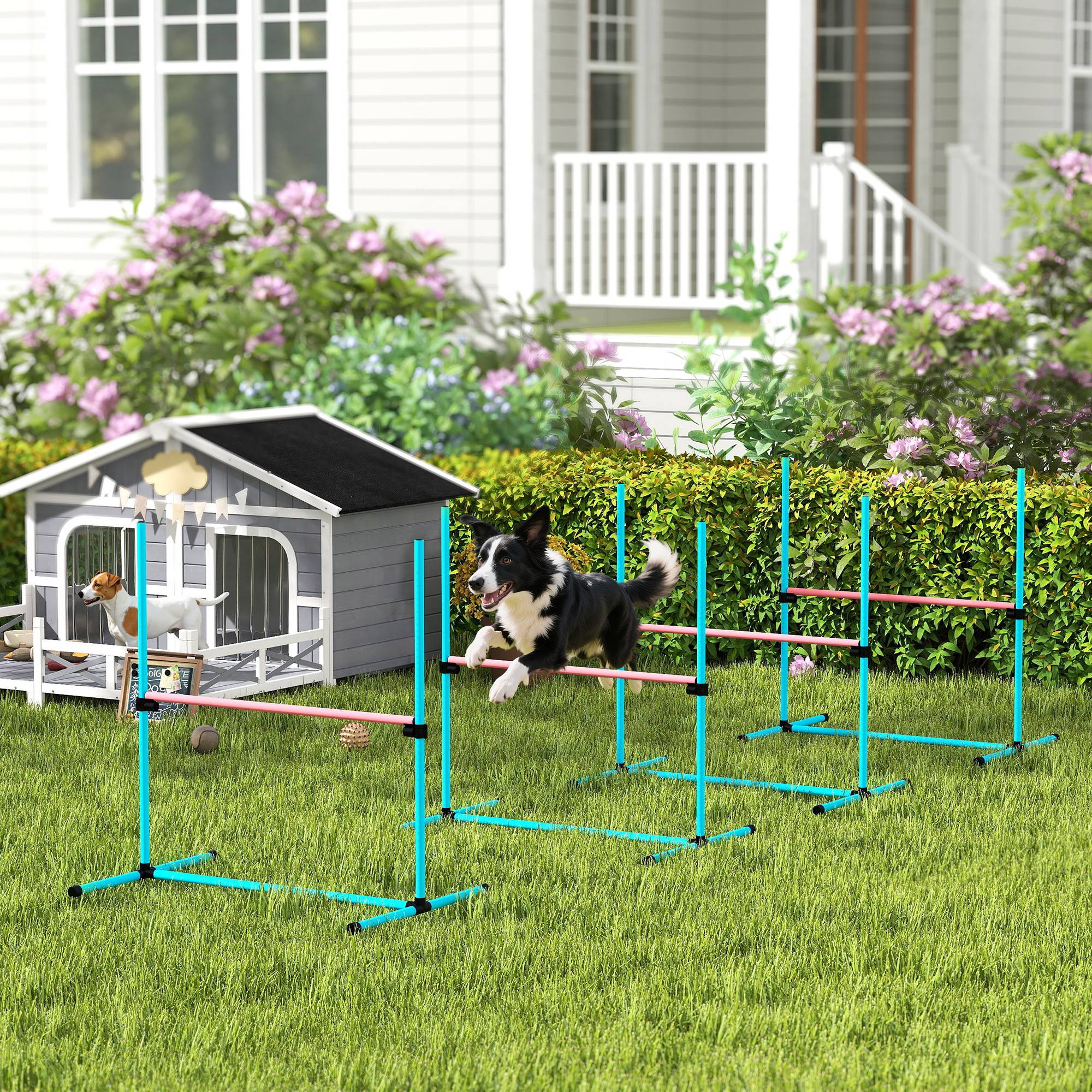 Kit d'agilité pour chien plastique bleu clair 99 x 65 x 94 cm - PANGIVO - Image 3