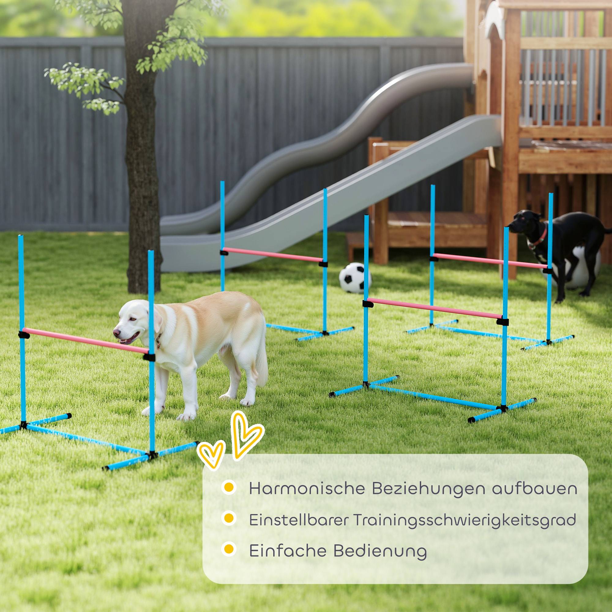 Kit d'agilité pour chien plastique bleu clair 99 x 65 x 94 cm - PANGIVO - Image 9
