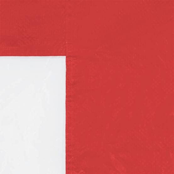 Parois de tente de fête PE rouge 300 x 195 cm - PANGIVO - Image 4