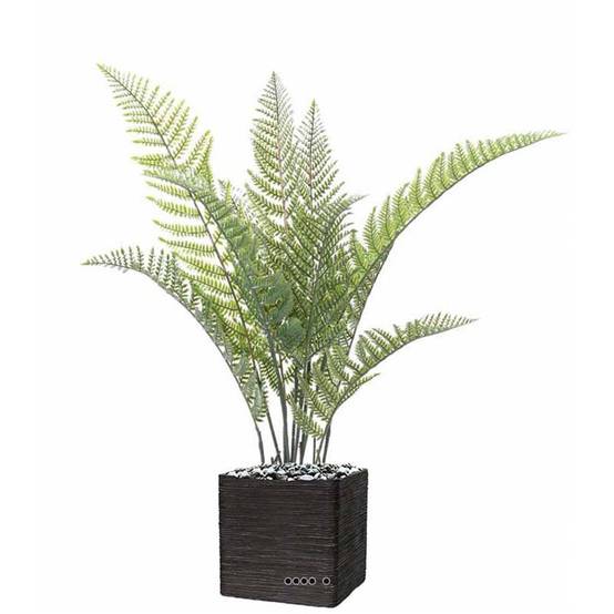 Fougère arborescente Cyathea artificielle en pot H 100 cm Vert extérieur - Image 2