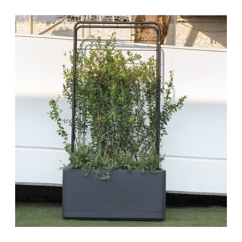 Deroma - Jardinera Muret - Deroma - Cosmo - Antracita - Con Reserva De Agua - Ruedas - 78 Cm - Imagen 4