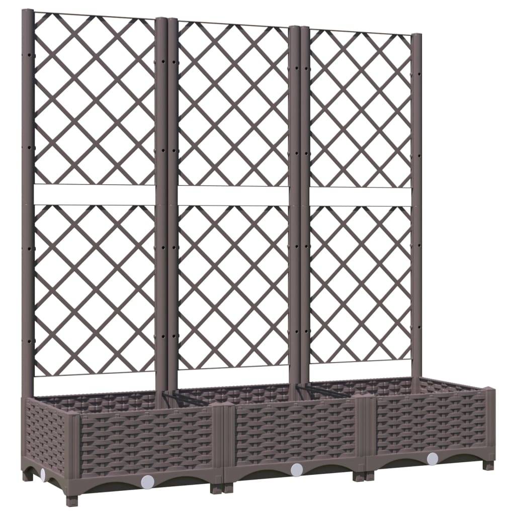 ComfortXL - Jardinière rectangulaire 120cm avec treillis extérieur Marron PP – ComfortXL Outdoor Living - Image 2