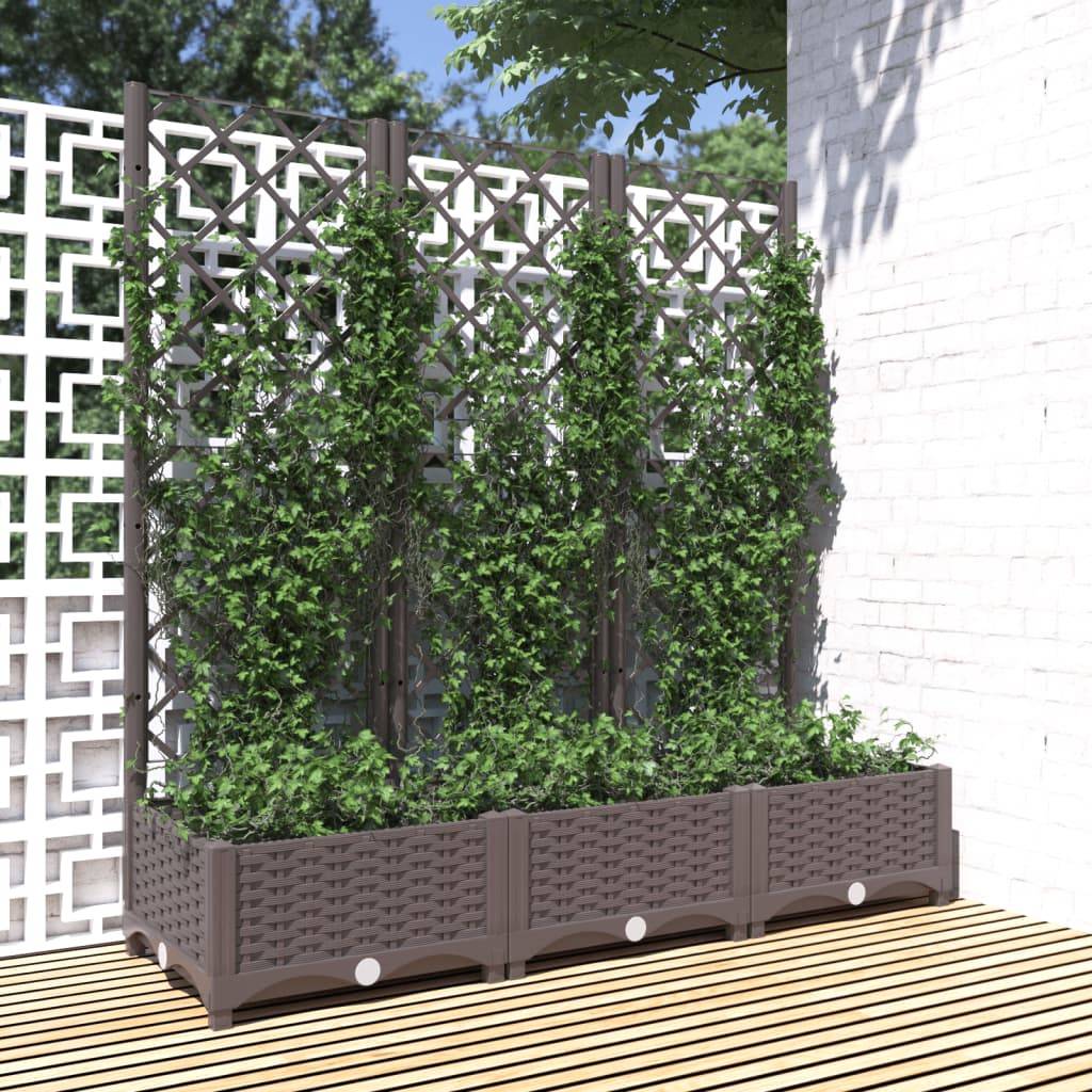 ComfortXL - Jardinière rectangulaire 120cm avec treillis extérieur Marron PP – ComfortXL Outdoor Living - Image 1