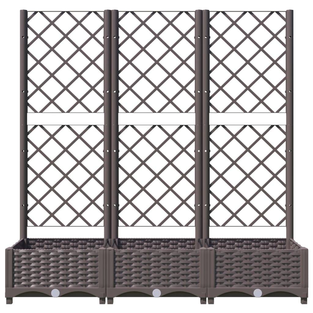 ComfortXL - Jardinière rectangulaire 120cm avec treillis extérieur Marron PP – ComfortXL Outdoor Living - Image 4