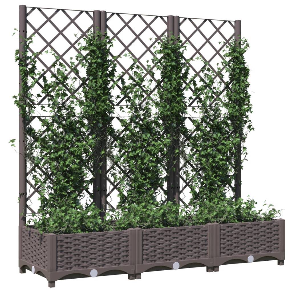 ComfortXL - Jardinière rectangulaire 120cm avec treillis extérieur Marron PP – ComfortXL Outdoor Living - Image 3