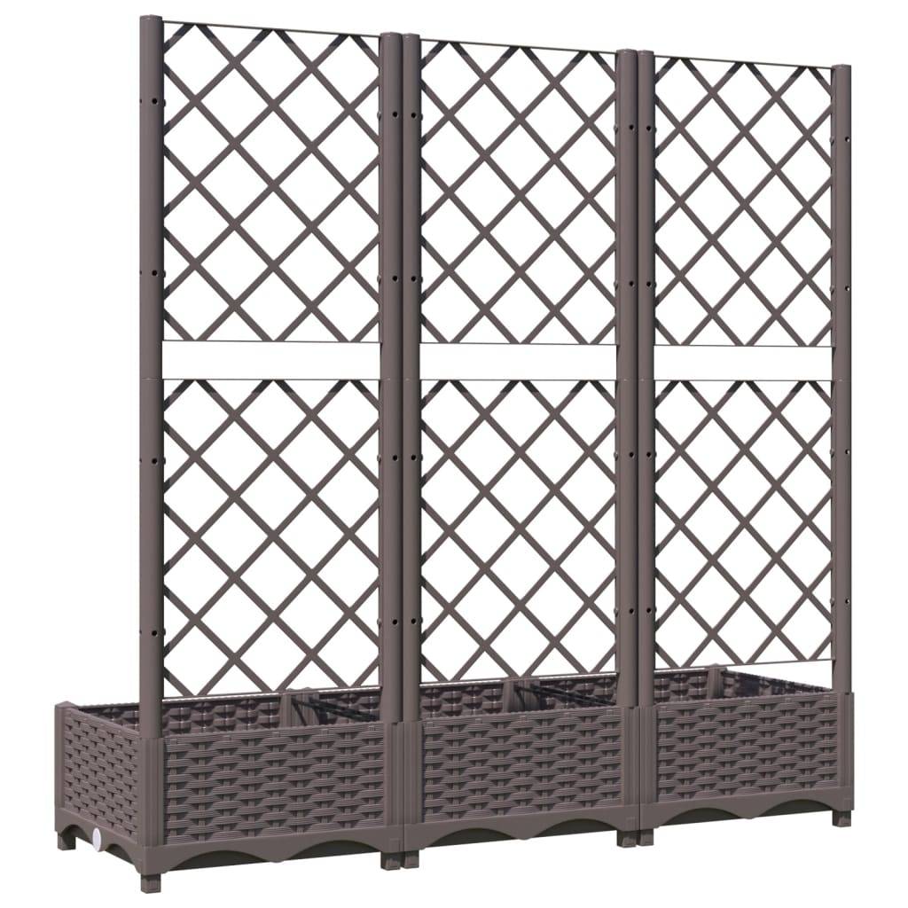 ComfortXL - Jardinière rectangulaire 120cm avec treillis extérieur Marron PP – ComfortXL Outdoor Living - Image 6