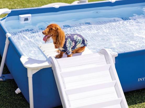 Piscine tubulaire rectangulaire pour animaux - Intex - Image 4