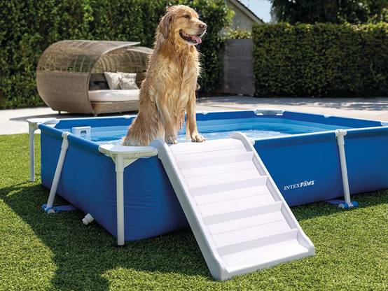 Piscine tubulaire rectangulaire pour animaux - Intex - Image 2
