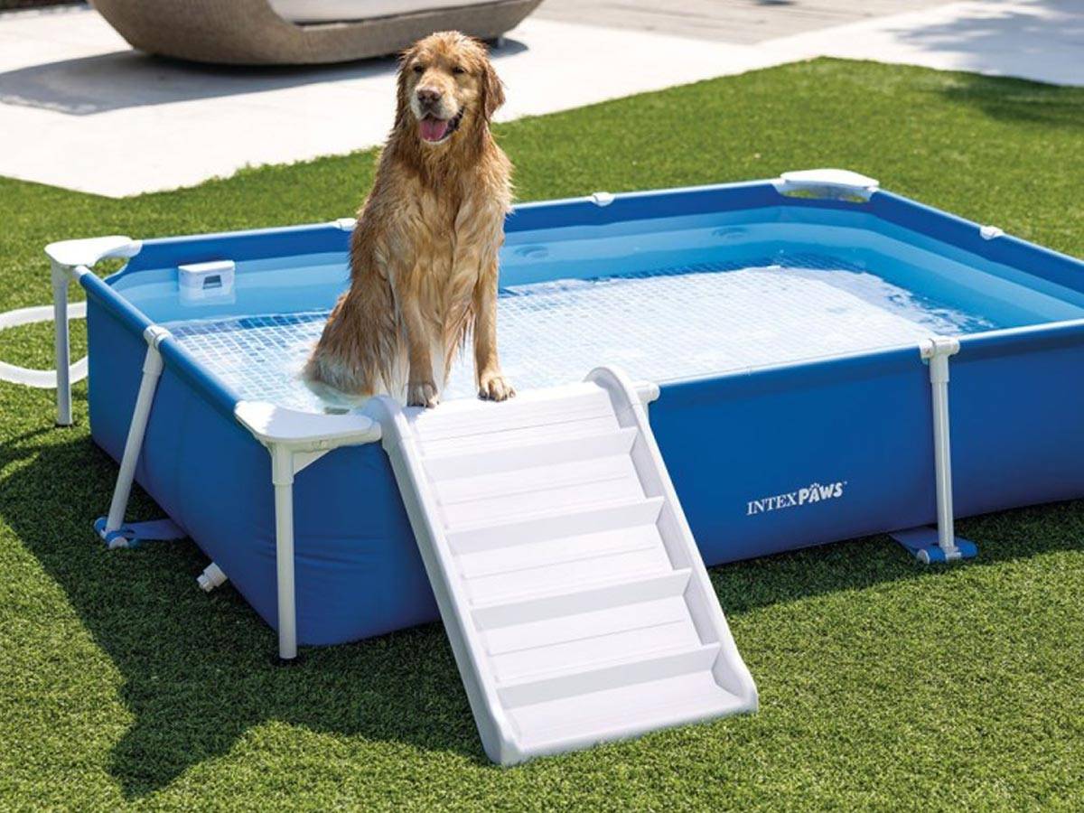 Piscine tubulaire rectangulaire pour animaux - Intex - Image 3