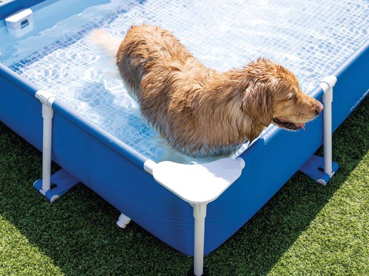 Piscine tubulaire rectangulaire pour animaux - Intex - Image 5