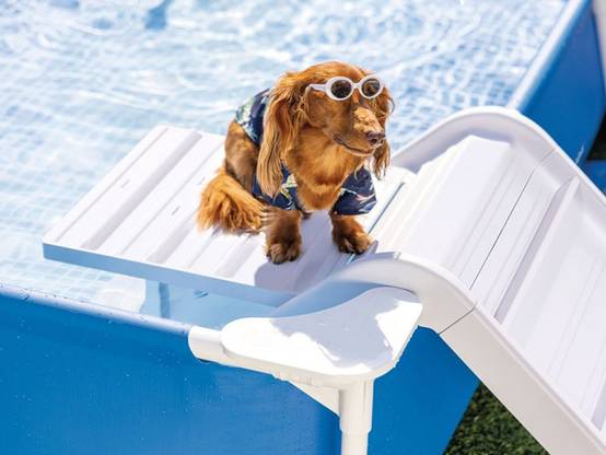 Piscine tubulaire rectangulaire pour animaux - Intex - Image 6