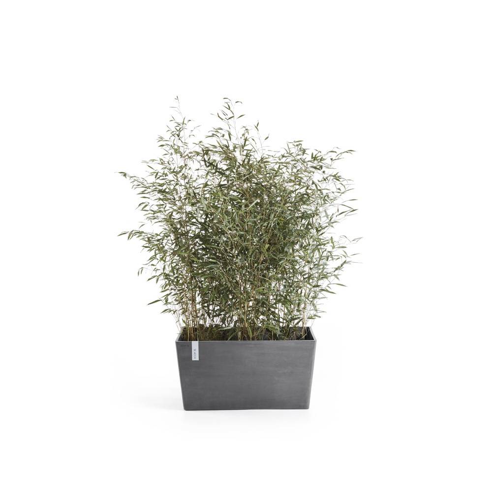 Ecopots - Jardinière Paris 60 Gris - 60 x 26 x H. 40 cm - 46,7 L ECOPOTS - Imagen 2