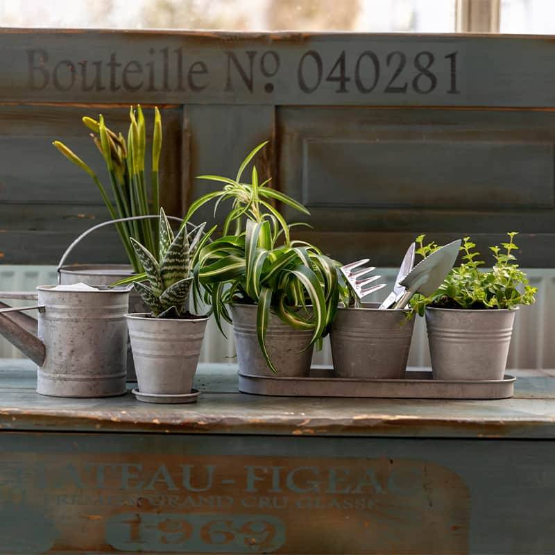 Esschert Design - Pot de fleurs Zinc 12 cm - Esschert Design - Imagen 3