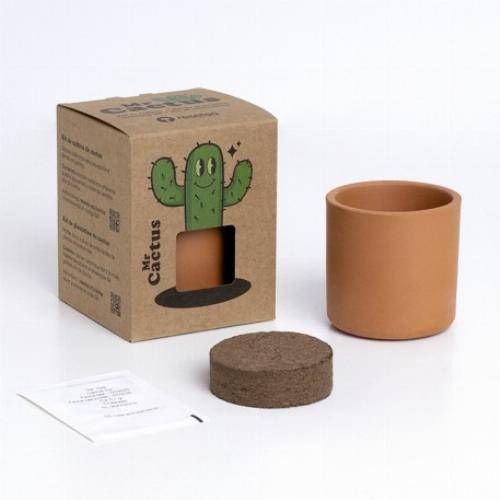 kit pot cactus - famille Cactus - Baby - Imagen 4