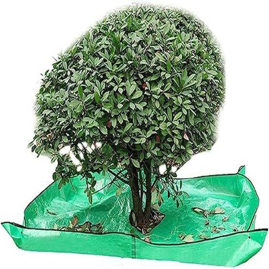 Bâche de Jardin Professionnelle - Imperméable - 4 Boucles de Transport DtopbuyAge - Image 1