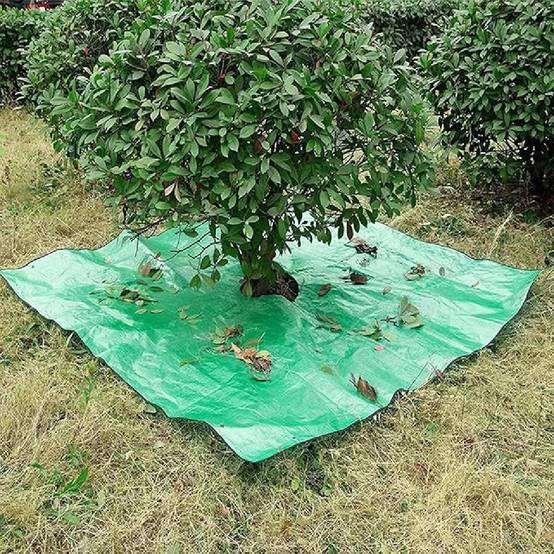 Bâche de Jardin Professionnelle - Imperméable - 4 Boucles de Transport DtopbuyAge - Image 5