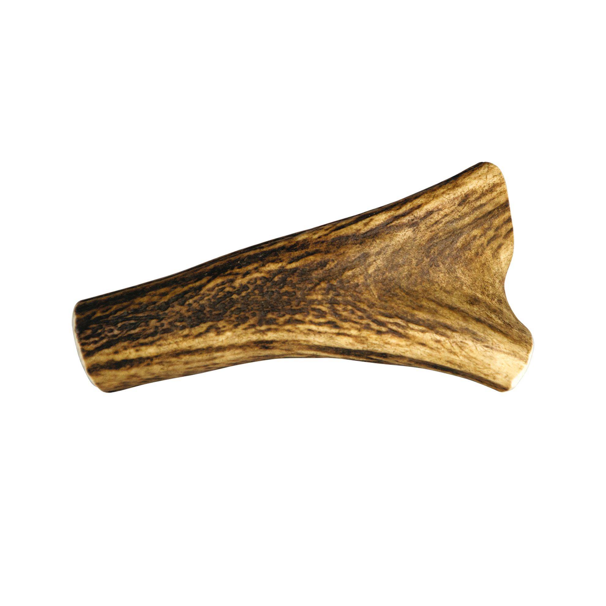 Bois de cerf entier Taille : S DOOGY
