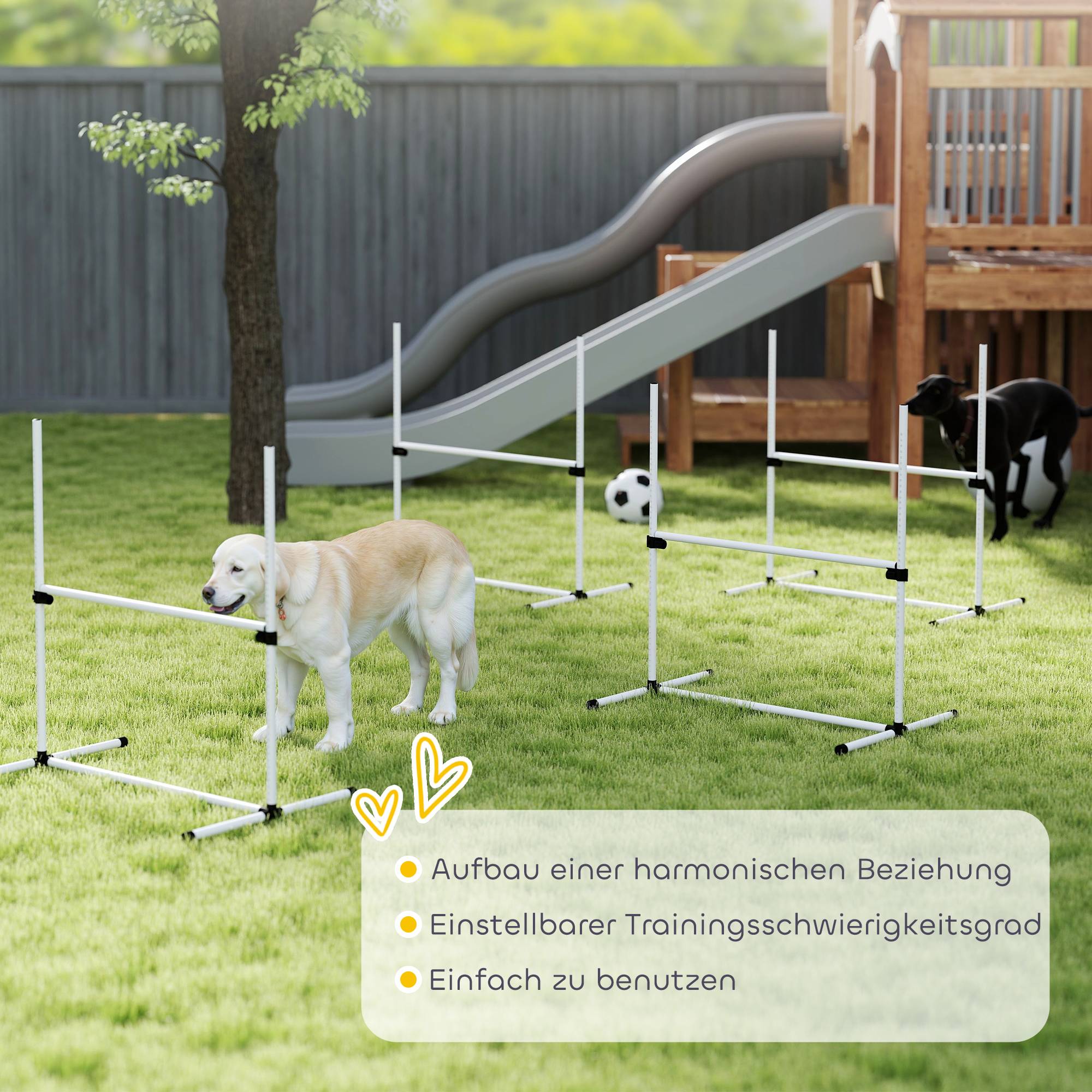 Kit d'agility pour chien plastique bleu 99 x 65 x 94 cm - PANGIVO - Image 9