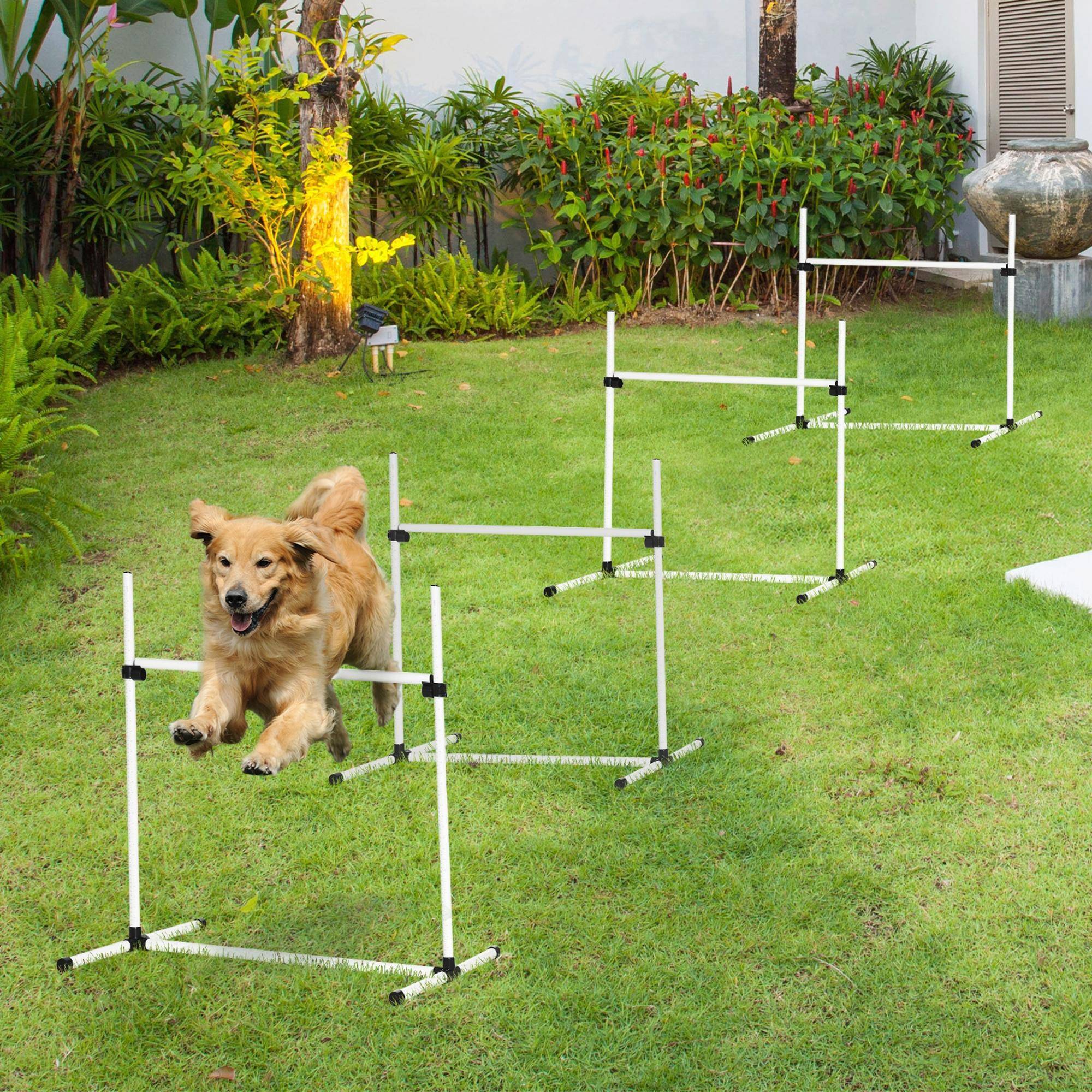 Kit d'agility pour chien plastique bleu 99 x 65 x 94 cm - PANGIVO - Image 3