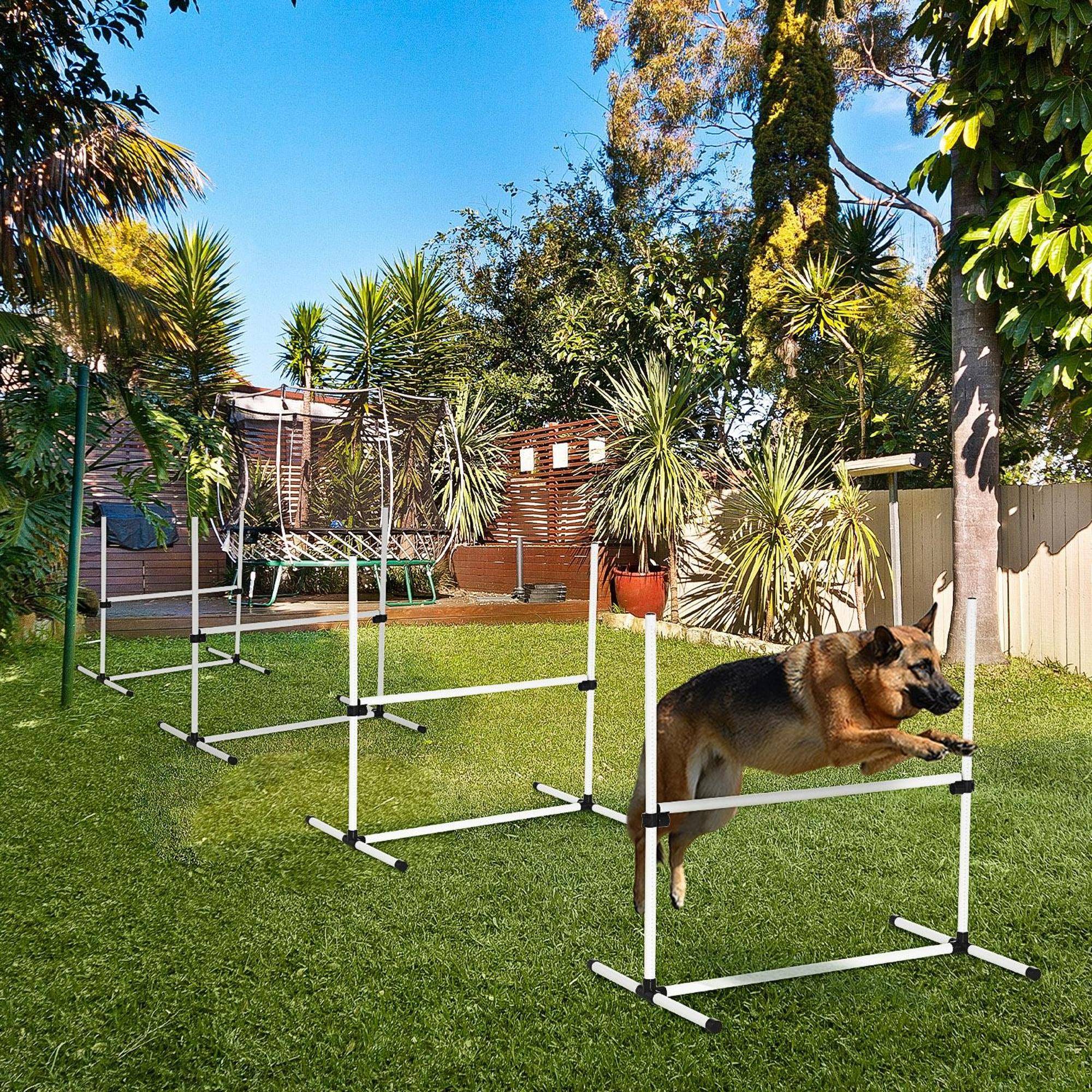 Kit d'agility pour chien plastique bleu 99 x 65 x 94 cm - PANGIVO - Image 4