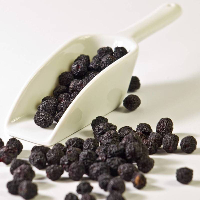 Aronie melanocarpa, Aronia à fruits noir à fleurs Blanche - feuillage Caduc - Pot de 4L - 20/40 cm- hauteur à maturité De 1,00 m à 1,50 m - Image 2