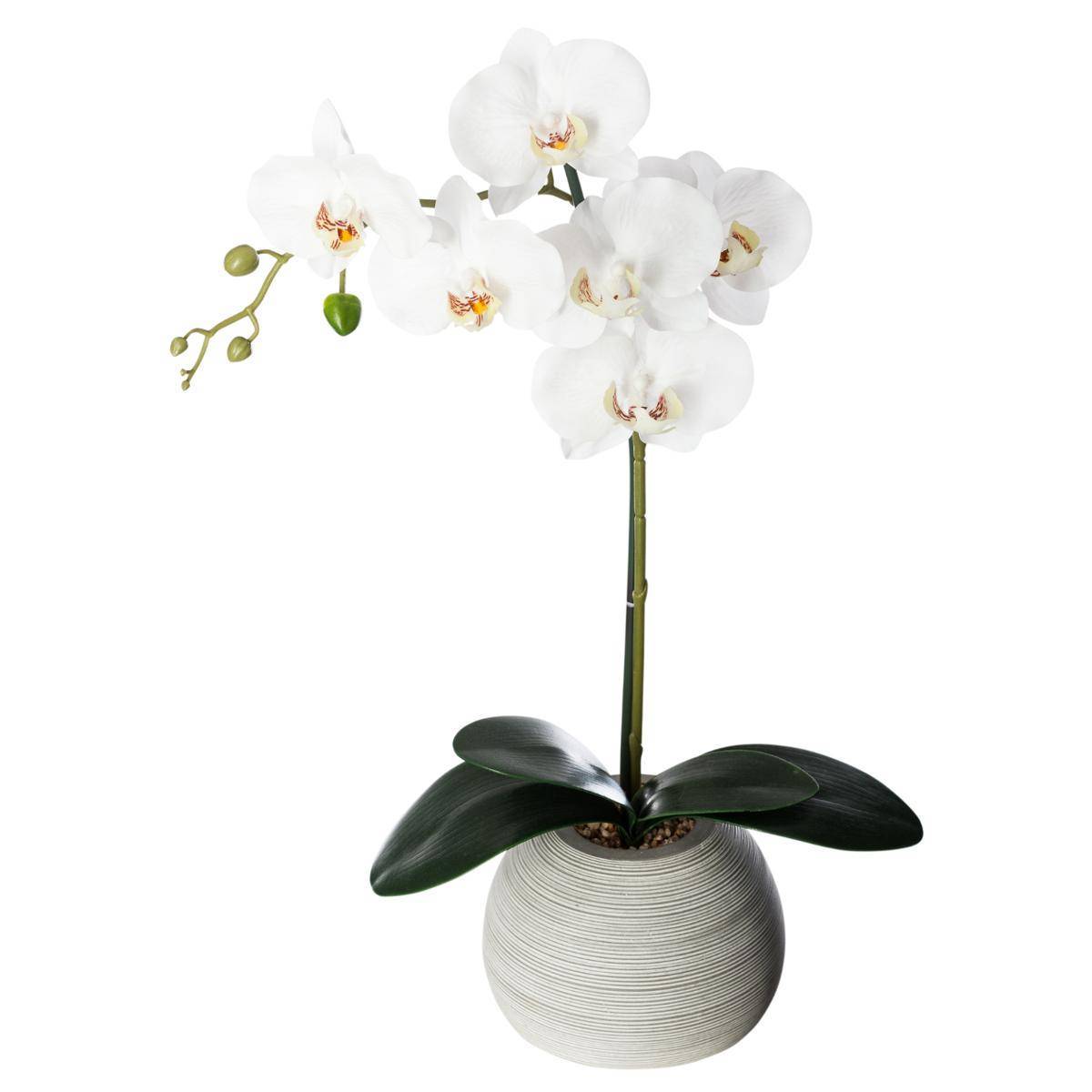 Atmosphera - Orchidée artificielle pot ciment H53cm - Atmosphera Créateur d'intérieur - Image 1