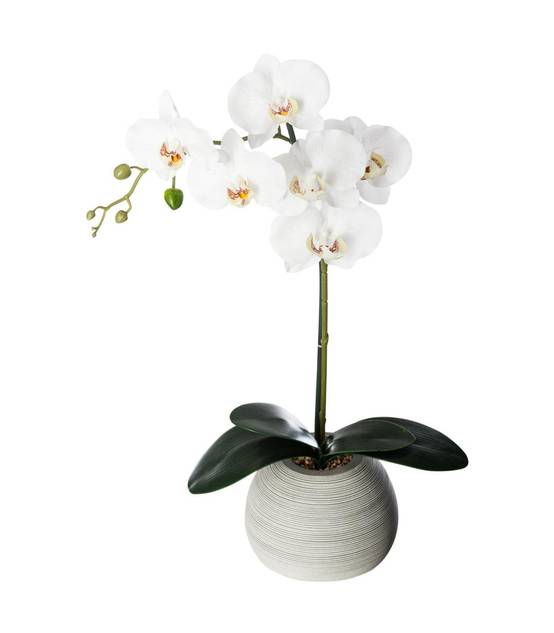 Plante artificielle Orchidée dans Pot en céramique H 50 cm - Image 1