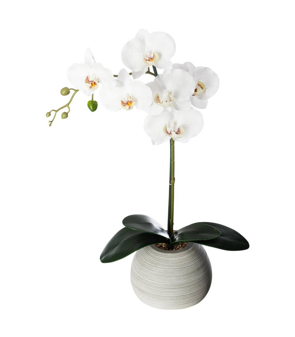 Plante artificielle Orchidée dans Pot en céramique H 50 cm - Image 1