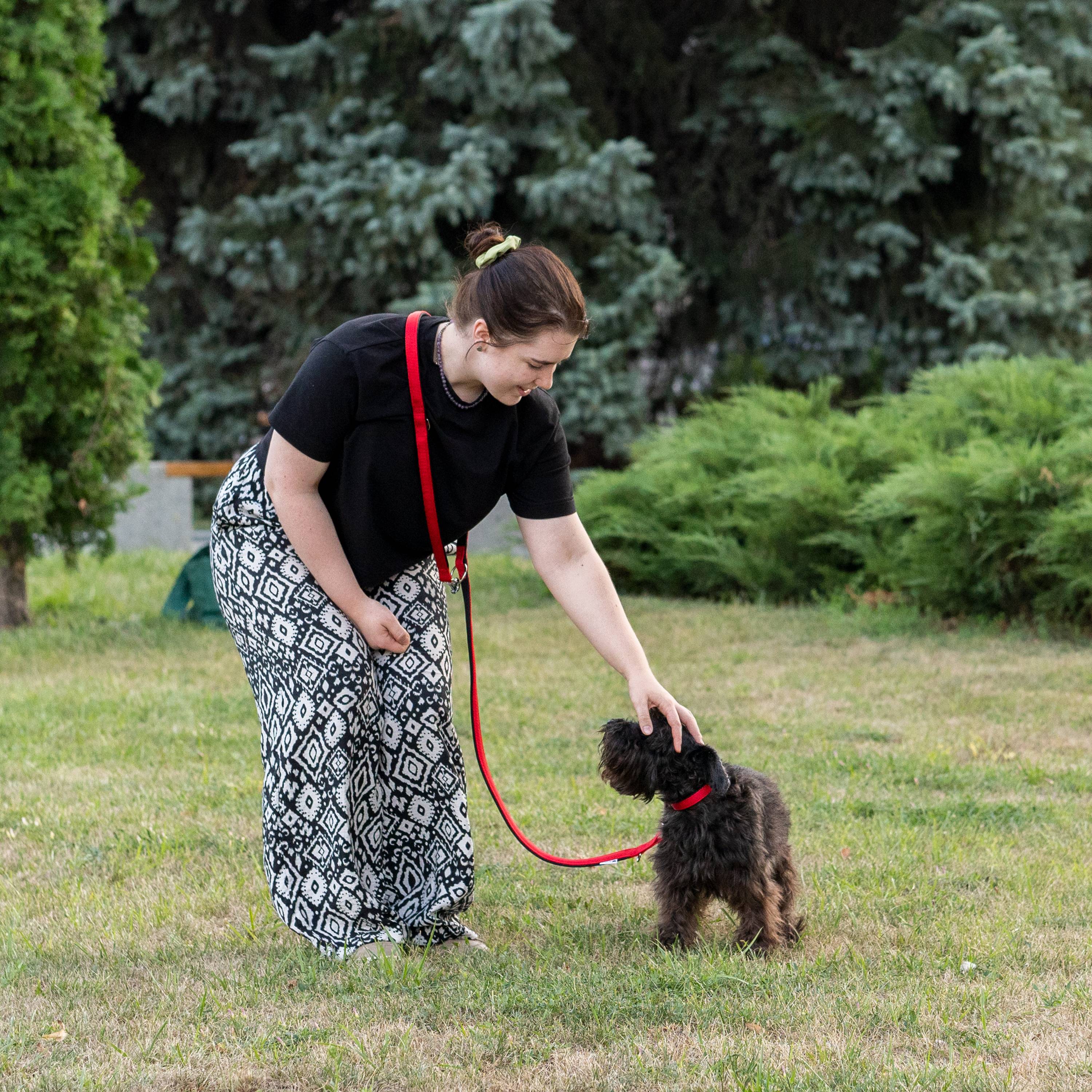 Ferplast - Ferplast laisse pour chien Daytona, laisse pour chien taille petite, 200 cm, laisse de dressage avec poignée rembourrée confortable et mousqueton en - Imagen 4