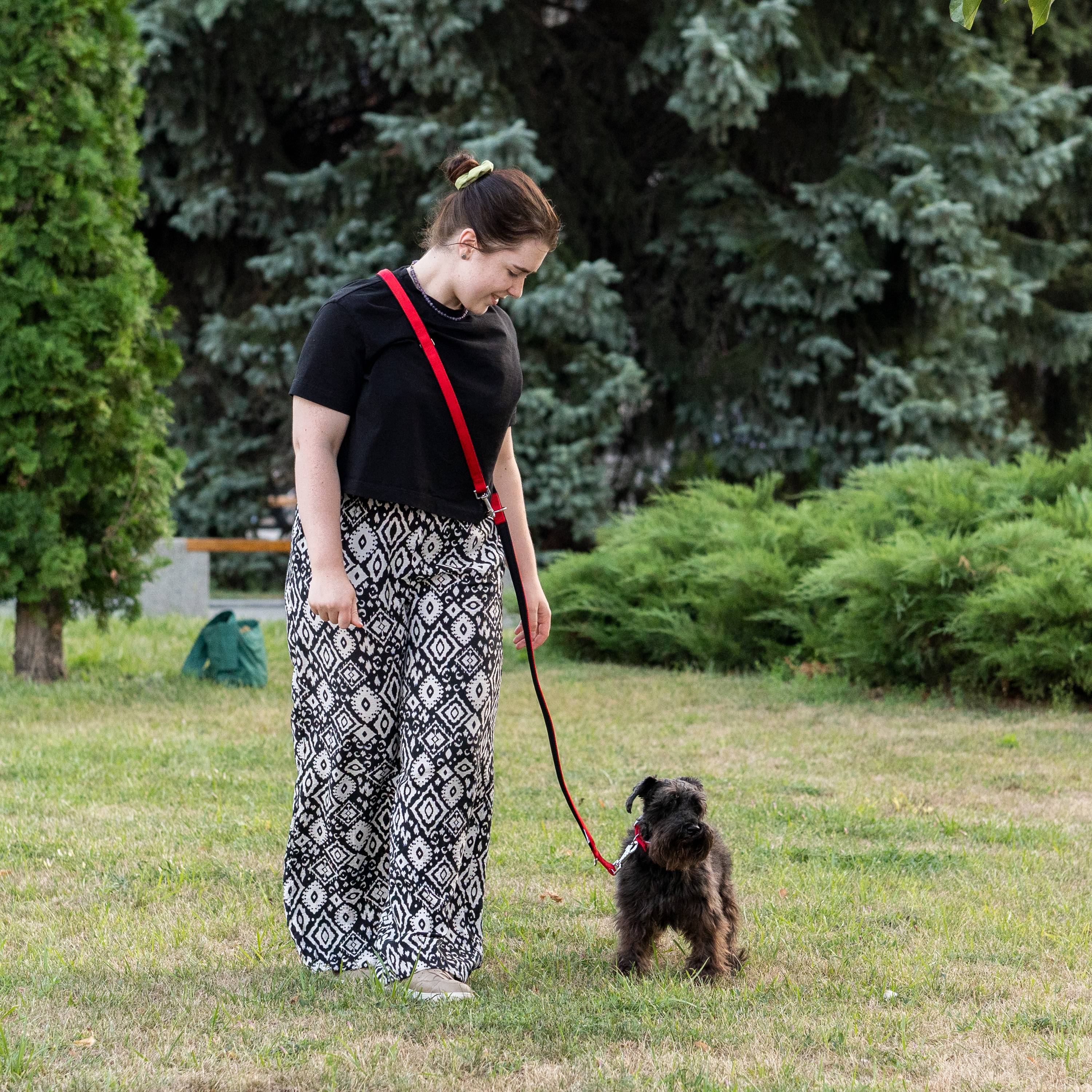 Ferplast - Ferplast laisse pour chien Daytona, laisse pour chien taille petite, 200 cm, laisse de dressage avec poignée rembourrée confortable et mousqueton en - Imagen 5