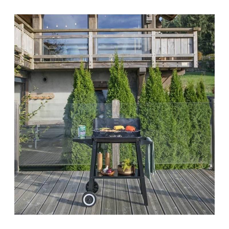 Livoo - Barbecue à charbon 48.5 x 28.8cm DOC328 Livoo - Image 6