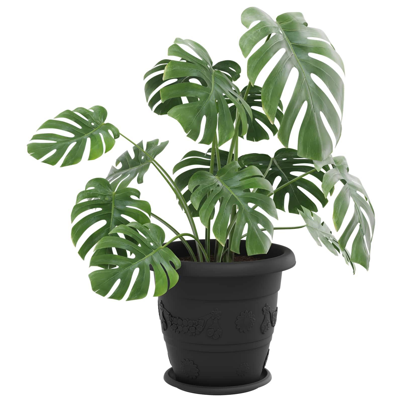 ComfortXL - Lot de 6 Grands Pots de Fleurs Ronds Plastique Extérieur avec Drainage 39x32 cm Noir - ComfortXL Outdoor Living - Image 3