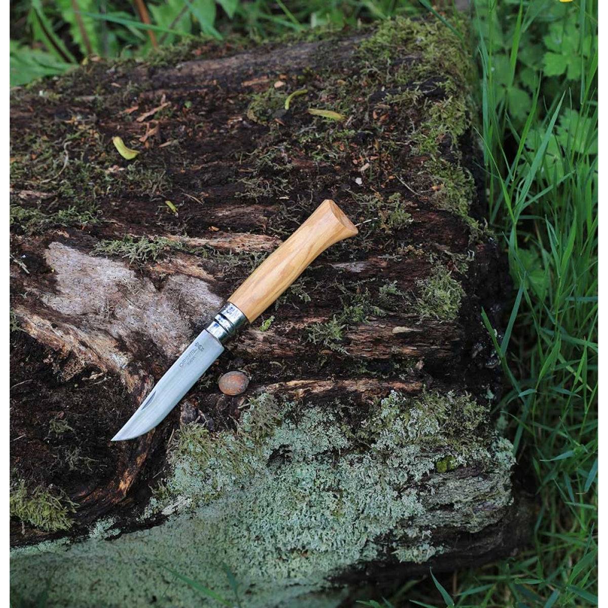 Opinel - Cuchillo n°8 en olivo con hoja inox 2020 - Imagen 3