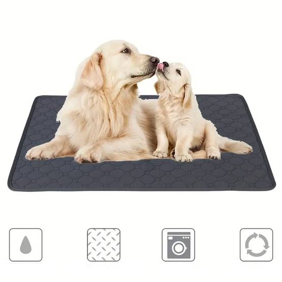 IntiMeg - Coussinet urinaire pour animaux de compagnie IntiMeg - Image 2
