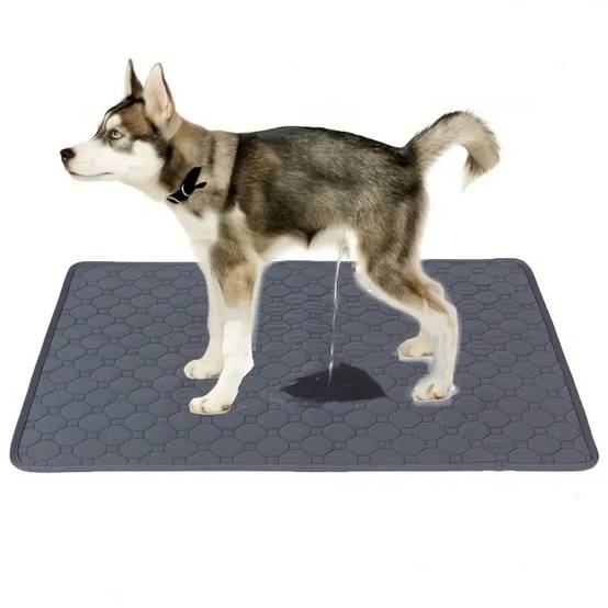 IntiMeg - Coussinet urinaire pour animaux de compagnie IntiMeg - Image 1