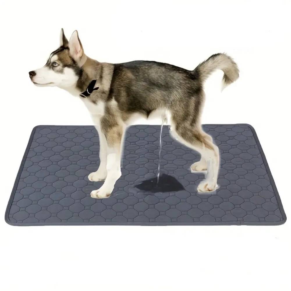 IntiMeg - Coussinet urinaire pour animaux de compagnie IntiMeg - Image 1