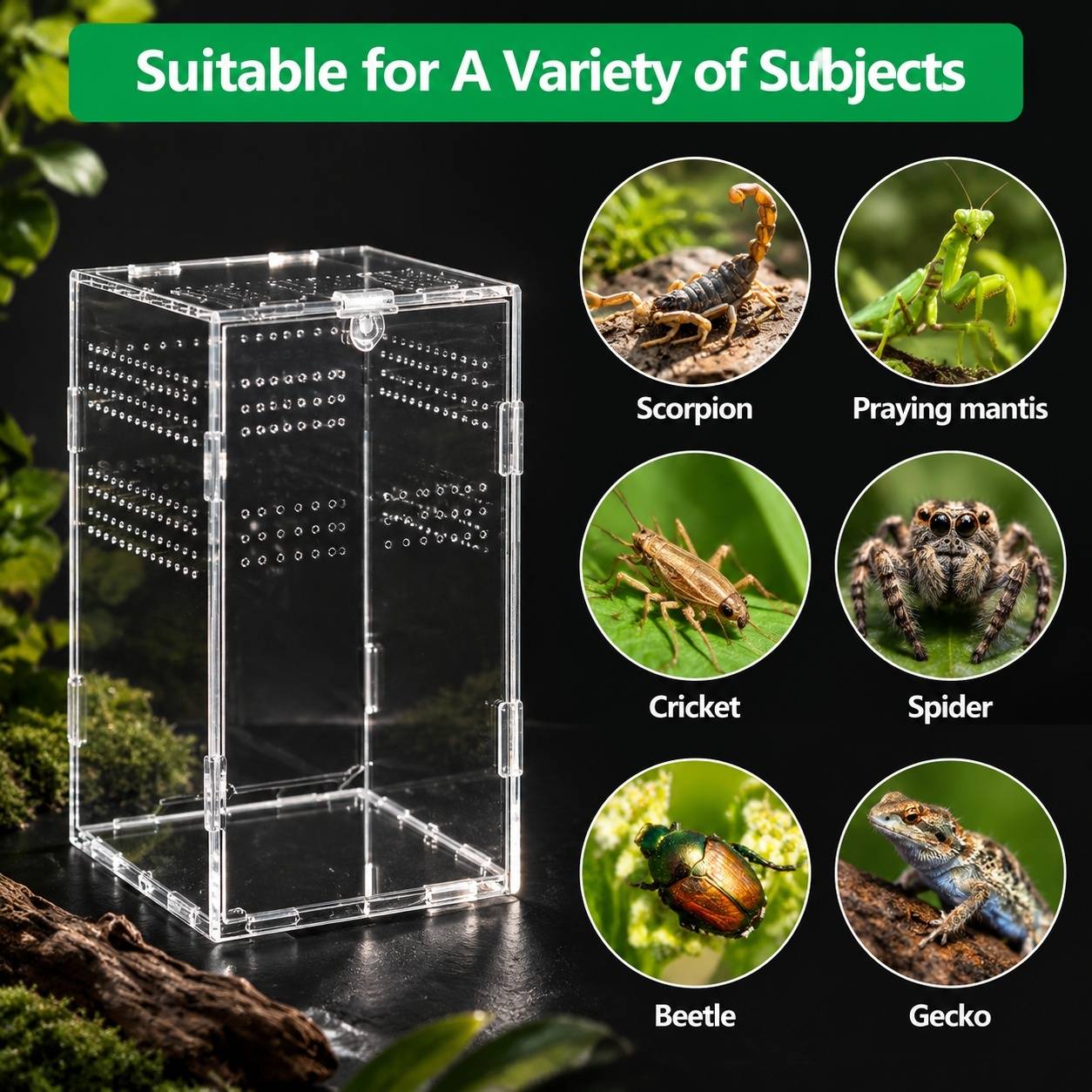 Boîte d'élevage acrylique transparente pour reptiles avec ventilation et fermeture magnétique - Image 6