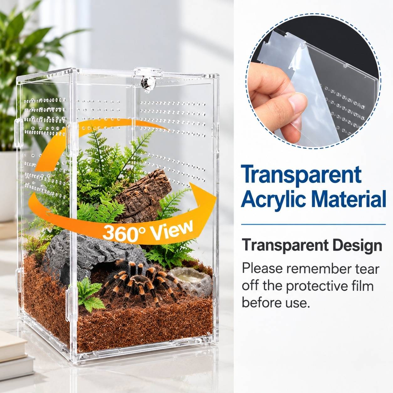 Boîte d'élevage acrylique transparente pour reptiles avec ventilation et fermeture magnétique - Image 4
