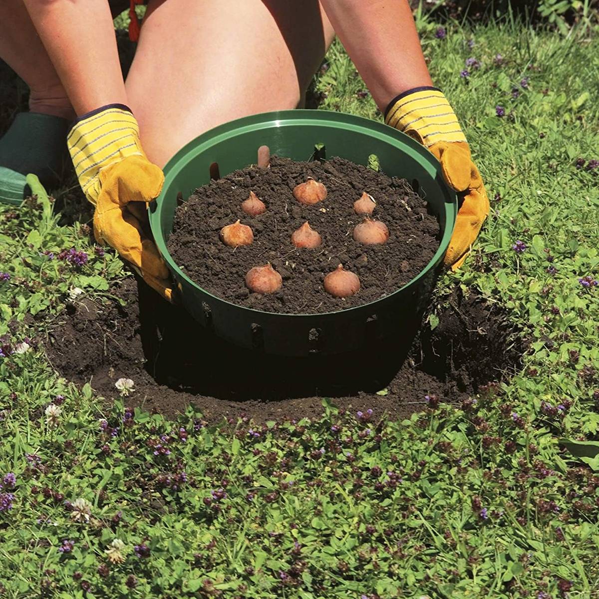Promesse de Fleurs - Panier à bulbes en plastique Pièce 26 cm